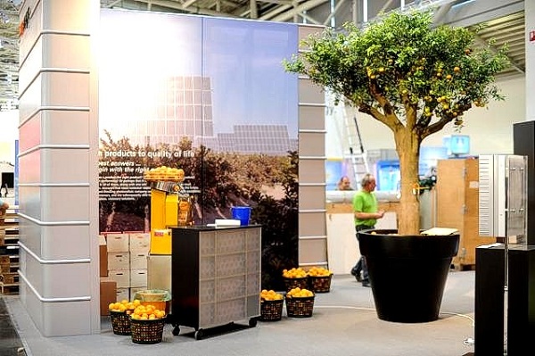 plant for exhibition buy online shop